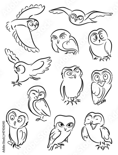 Owls