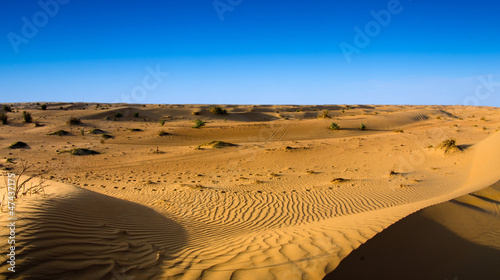 Desert landscape