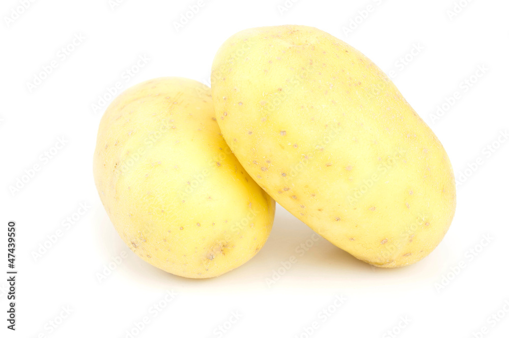 potato potato