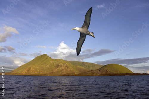 Ecuador Volcano on Isabella Island in the Galapagos Islands