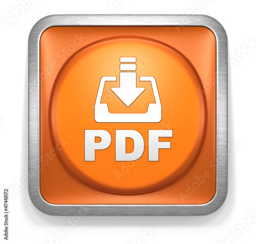 Download_PDF_Orange_Button photo