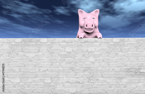 Fototapeta Naklejka Na Ścianę i Meble -  pink piggy on the wall