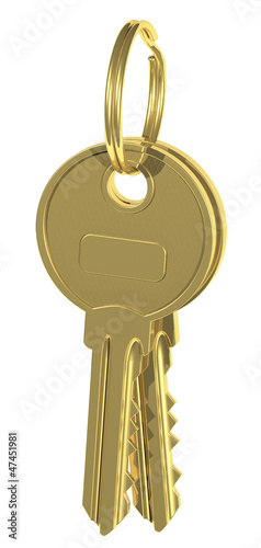 two golden keys photo