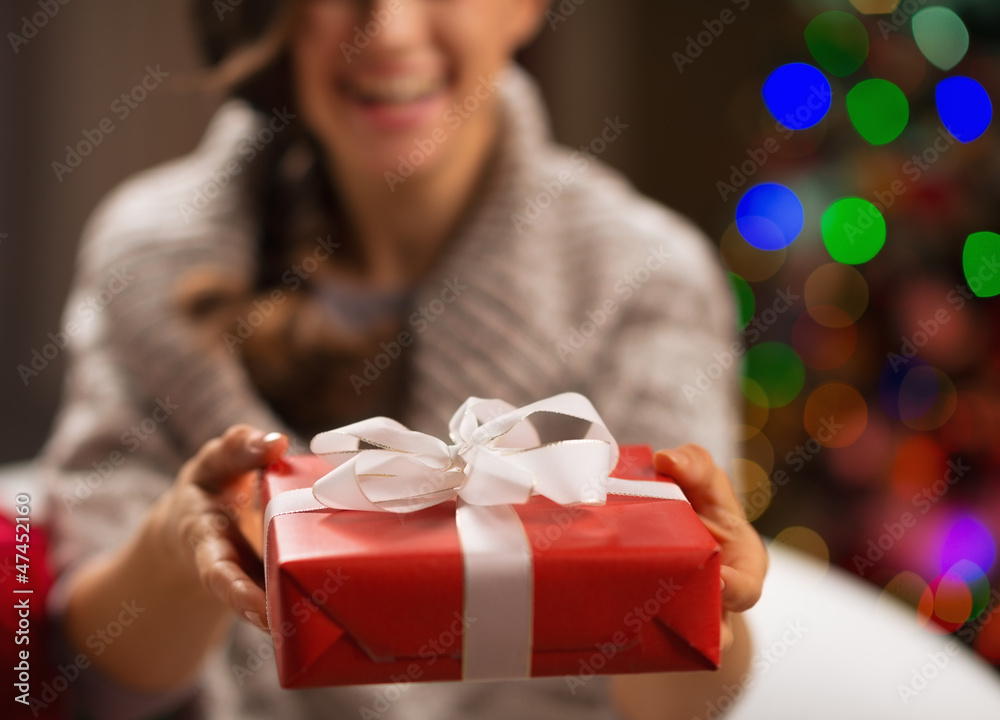 Closeup on Christmas gift box in woman hands