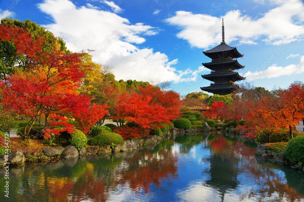 Naklejka premium Pagoda Toji w Kioto w Japonii