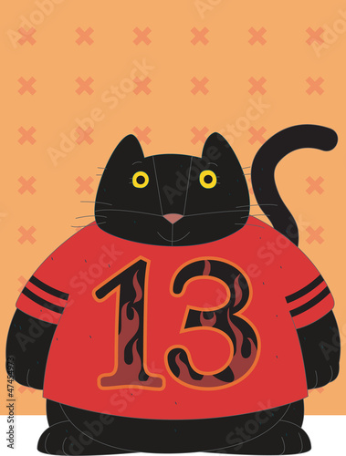 Cat is 13