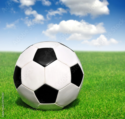 soccer ball on grass © vencav