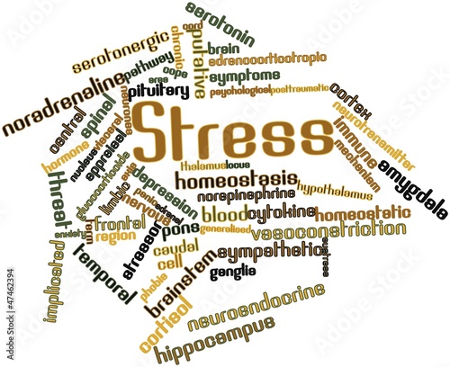 Word cloud for Stress photo