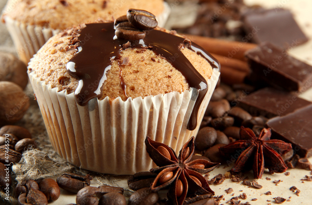tasty muffin cakes with chocolate, spices and coffee seeds, tasty muffin cakes with chocolate, spices and coffee seeds,