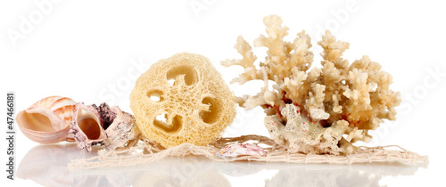 Obraz na płótnie Loofah isolated on white