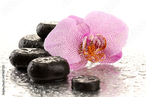 Spa stones and orchid flower, isolated on white.
