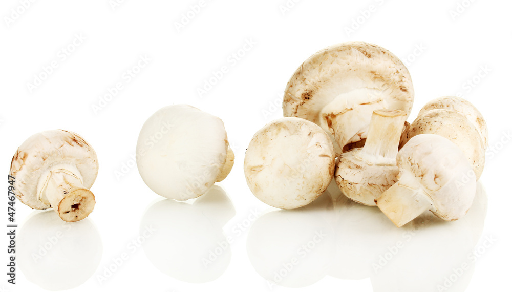 Fresh mushrooms isolated on white