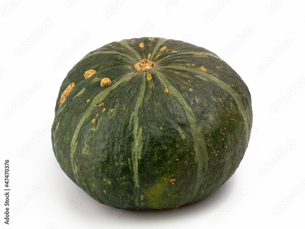 green pumpkin isolated on white background green pumpkin isolated on white background