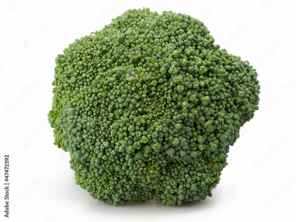 fresh broccoli isolated on white background fresh broccoli isolated on white background