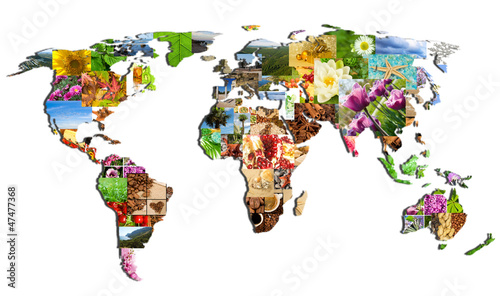 Cuadro en lienzo map of the world of the many photographs
