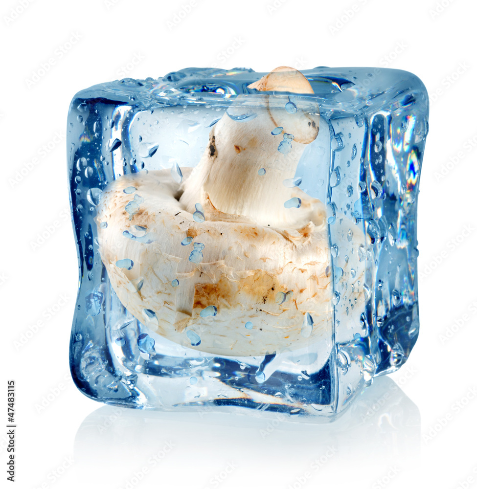 Ice cube and champignon