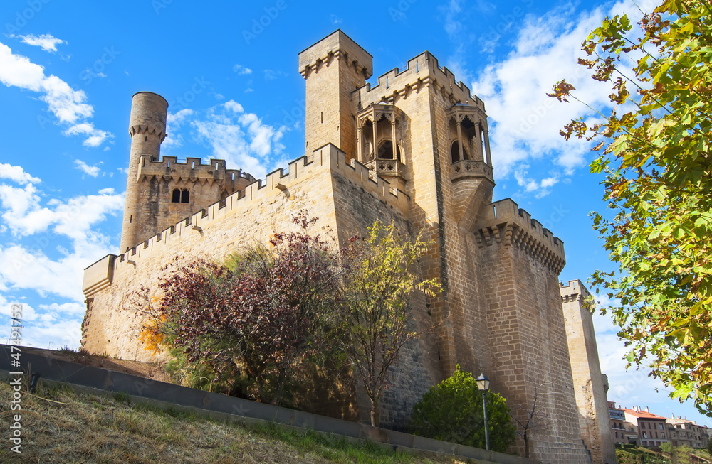 Olite Castle, Navarre