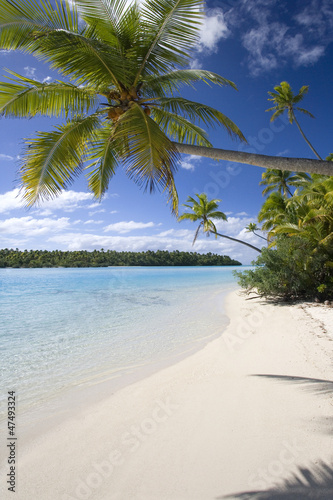 Fototapeta Naklejka Na Ścianę i Meble -  Cook Islands - South Pacific