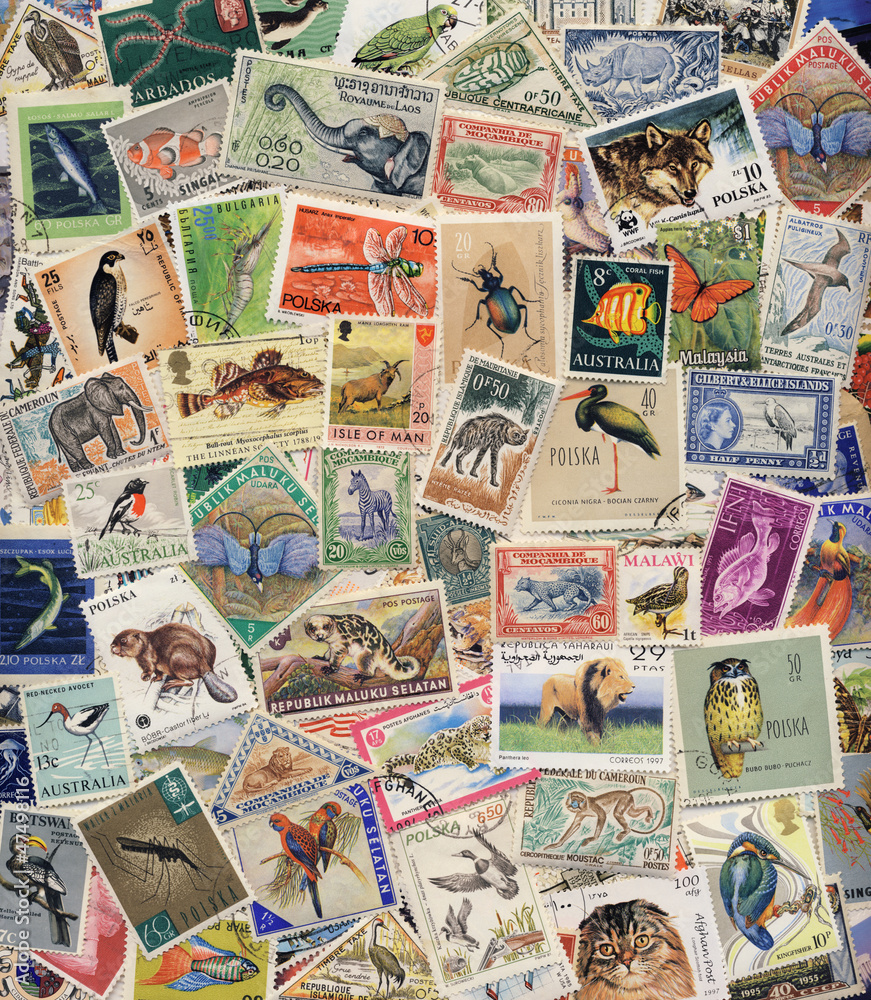 Postage Stamps of Animals, Birds, Insects & Fish