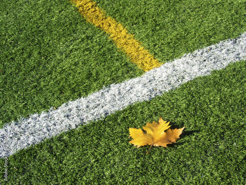 Soccer Field's Lines in Autumn