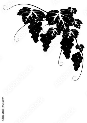 ブドウ　シルエット