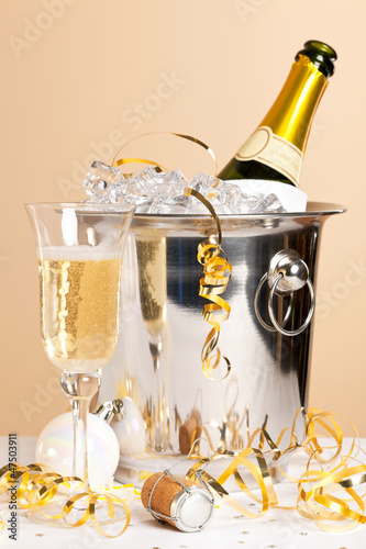 Champagne ice bucket and glass