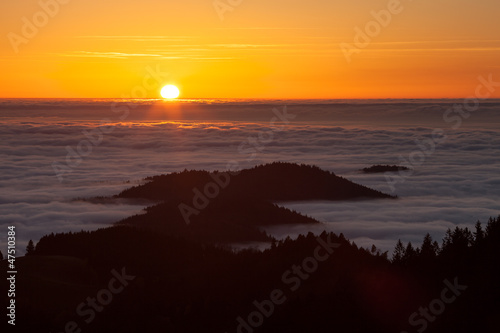 sunset over black forest fog
