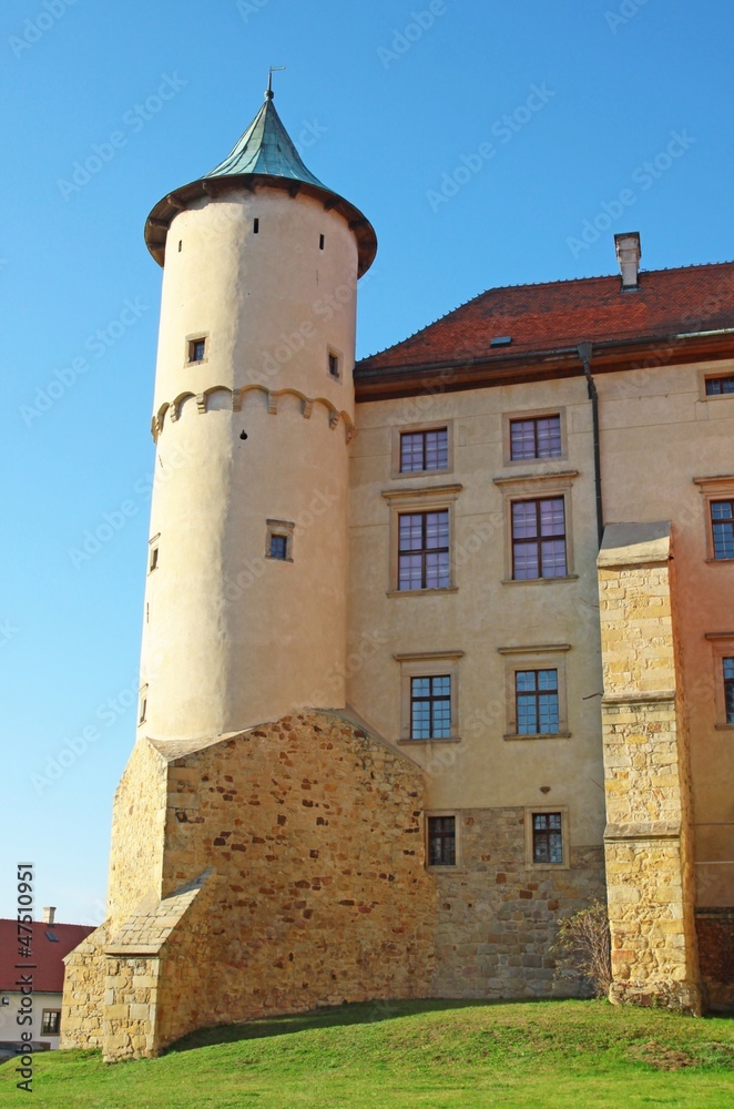 lordly renaissance palace in Wisnicz