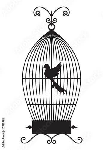 Bird cage