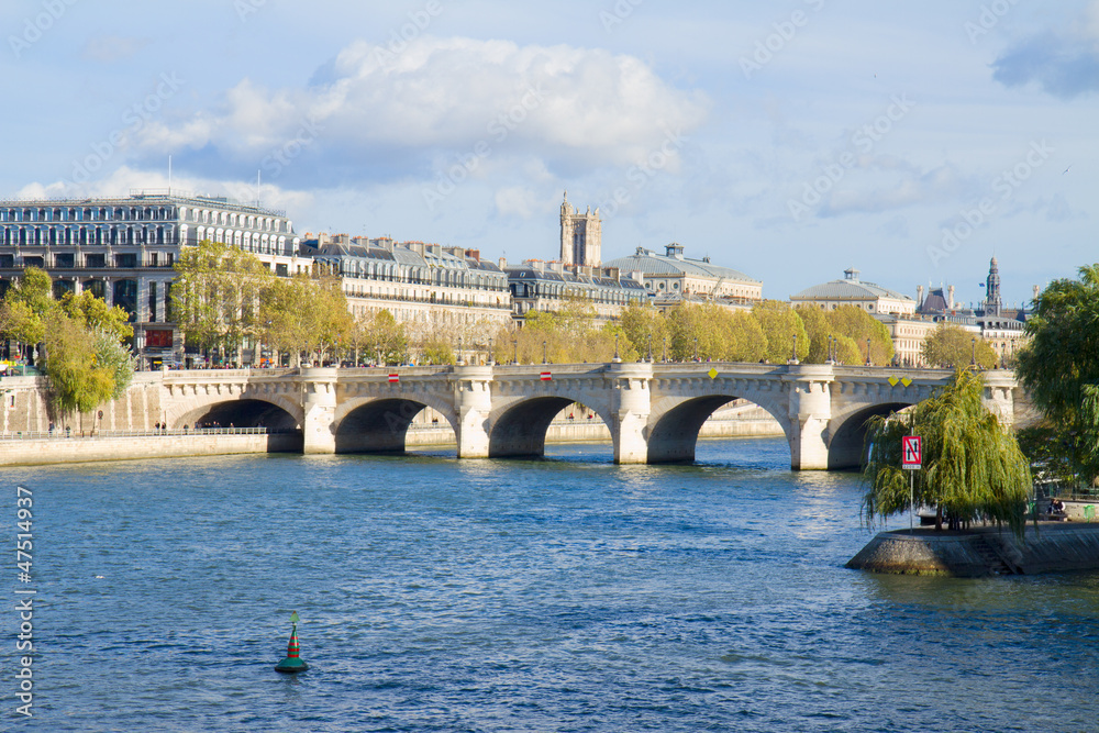 Naklejka premium Pont Neuf, Paris, France