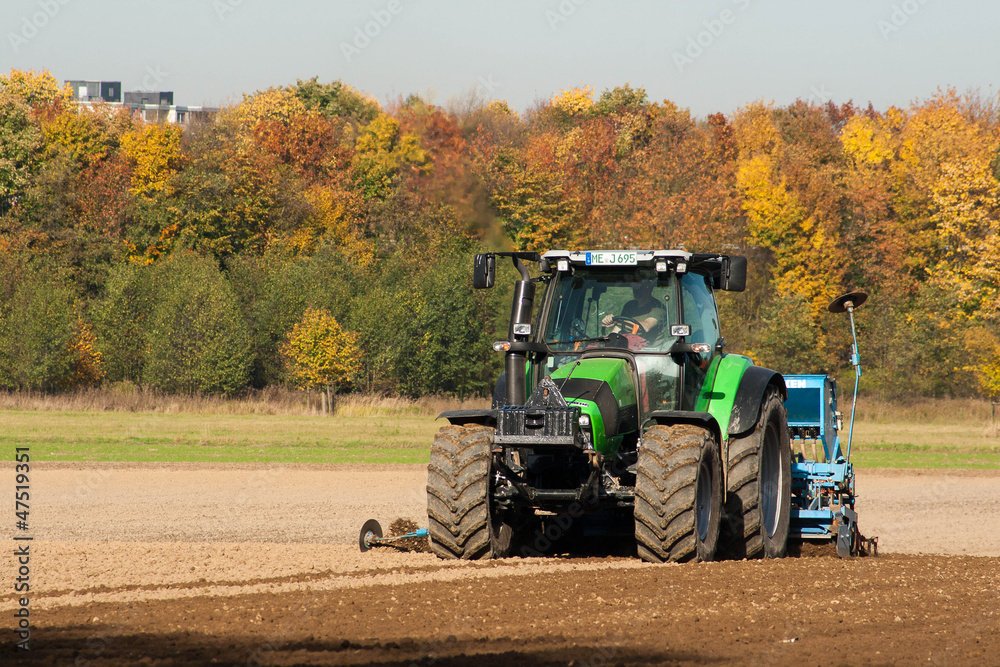 Fototapeta premium Wintersaat