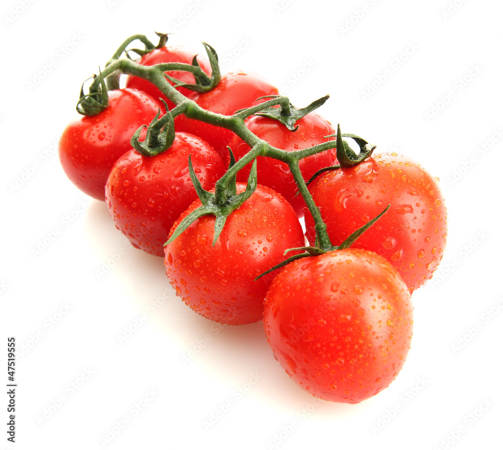 cherry tomatoes on a branch with drops isolated on white cherry tomatoes on a branch with drops isolated on white