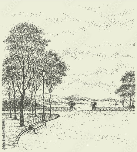 Vector landscape. Bench near the lantern under the tall trees of