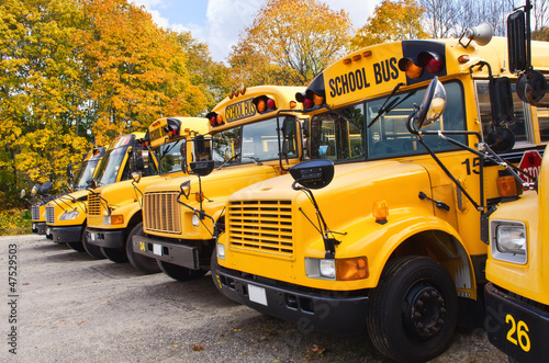 Yellow school buses against autumn trees
