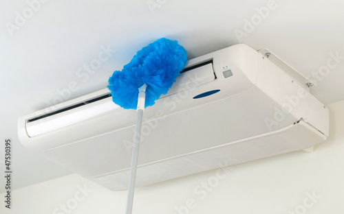 Duster feather the utility of cleaning