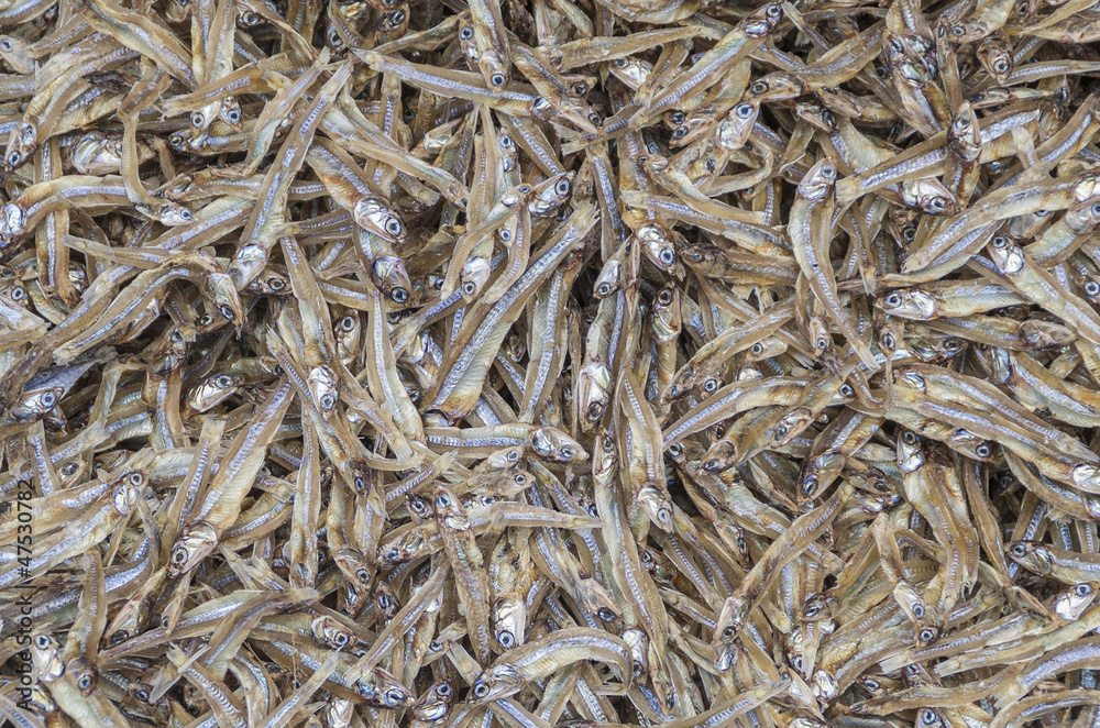 Small Thai dried fish