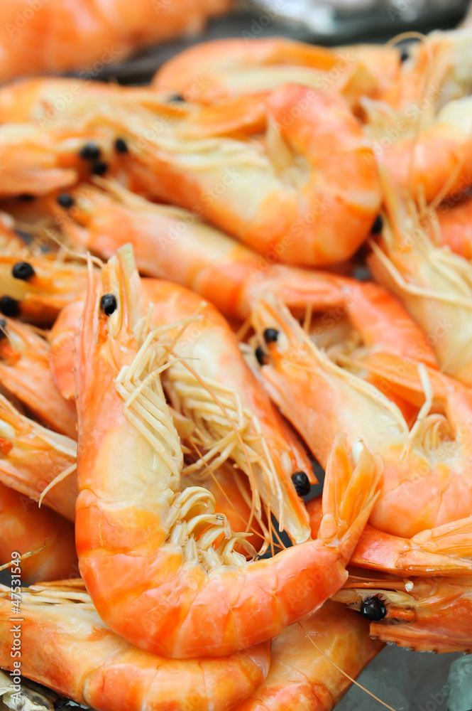 background of fresh prawns background of fresh prawns