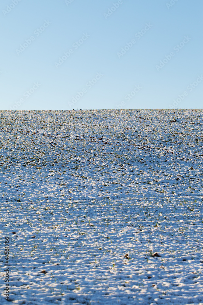 Snow and sky. Snow and sky.
