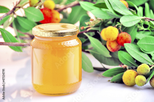 Obraz na plátně arbutus honey