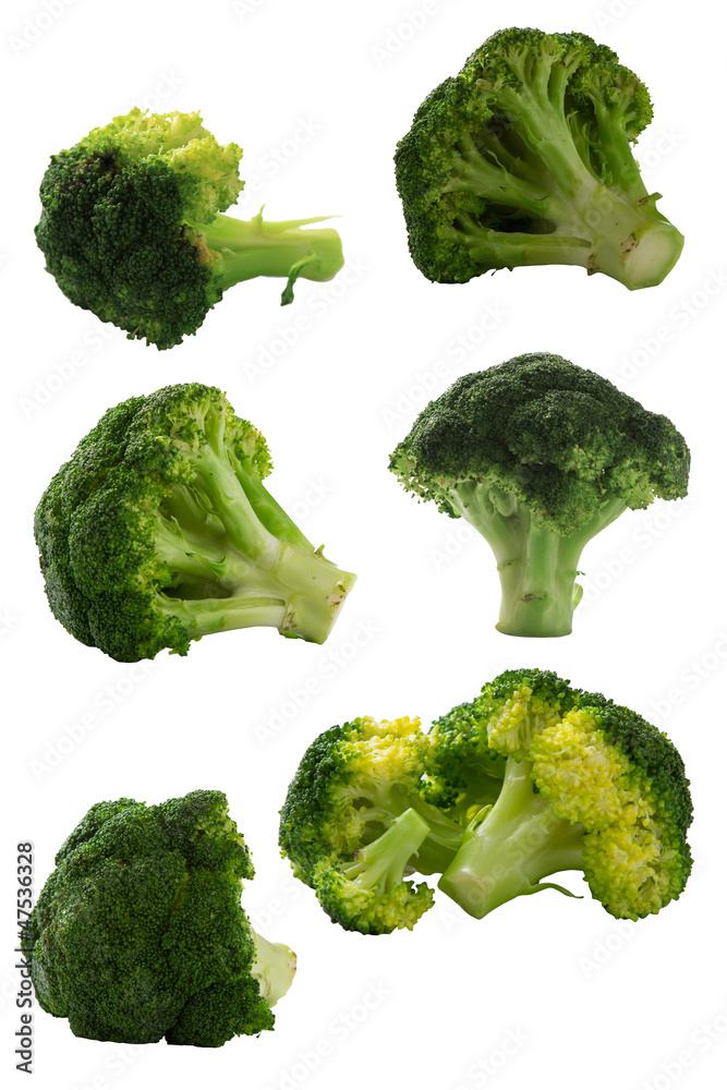 Broccoli isolated with clipping path on white background