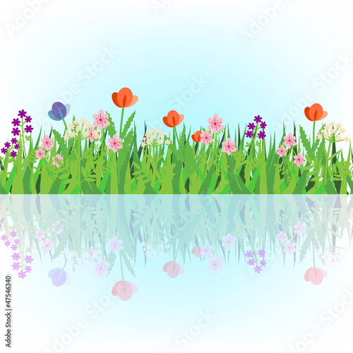 Flowering field reflecting in the water
