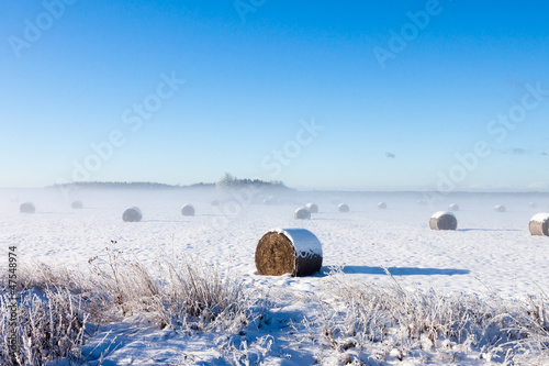 Bales of hay laying in snow