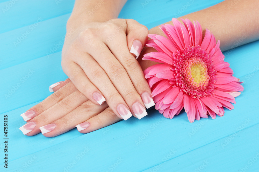Woman hands with french manicure and flower Woman hands with french manicure and flower