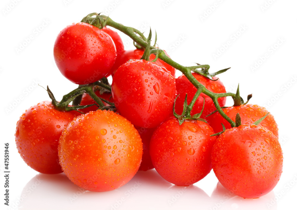 cherry tomatoes on a branch with drops isolated on white cherry tomatoes on a branch with drops isolated on white