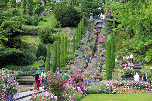 Île de la Mainau photo