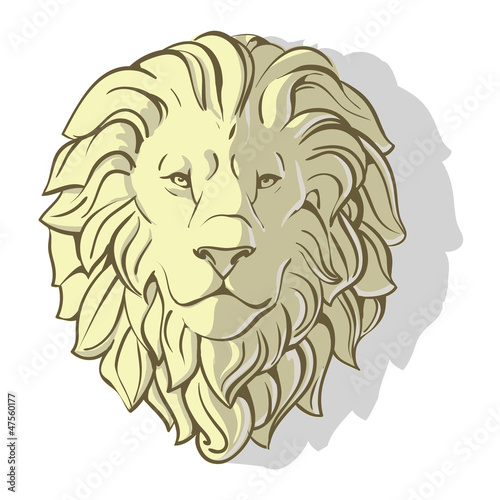 head of lion shadow