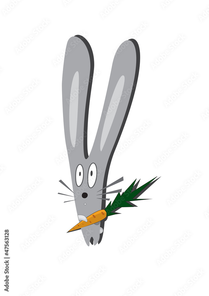 Rabbit on a white background with carrot
