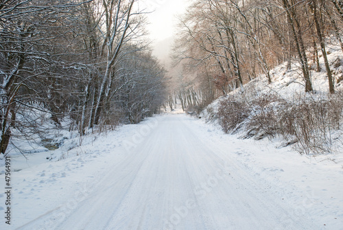 Snowy winter road © tiboldgergo