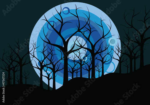 night landscape: trees and the moon