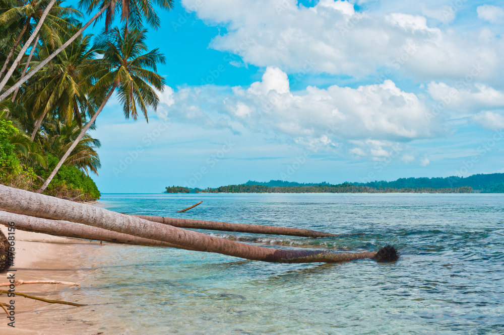 Fototapeta premium Coast of remote tropical island